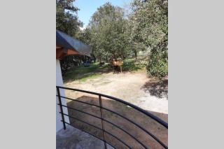 Casa al Fiume, fantastic rustic in nature Citra 00801-LT-0011 - Airole - 3