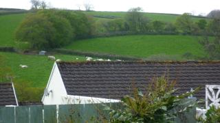 Sunny detached bungalow, Nr Looe - 9