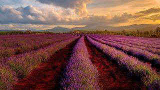 Campanile Manosque - Manosque - 9