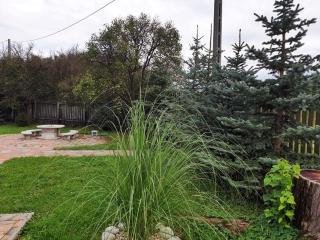 Hegyalja Vendégház - 1