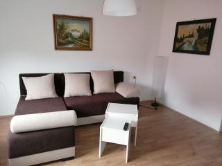 Apartman Banjica 1 - Sokobanja - 3