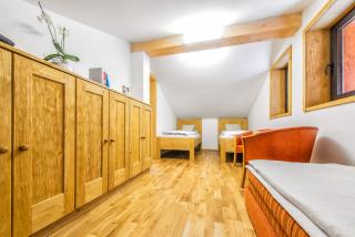 Apartments Srdiecko - JASNA South, FOREST View, SAUNA in One Apt FIREPLACE in Both - 1