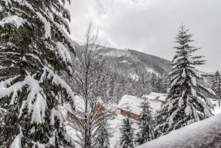 Apartments Srdiecko - JASNA South, FOREST View, SAUNA in One Apt FIREPLACE in Both - 4