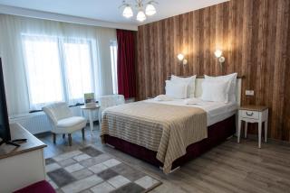 Pensiunea Carmen`s Mansion B - Sinaia - 7