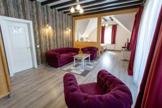 Pensiunea Carmen`s Mansion B - Sinaia - 8