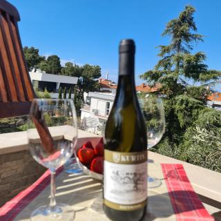 VILA TENA ROVINJ CROATIA - Rovigno (Rovinj) - 5