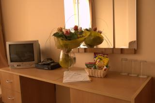 Rila Hotel Sofia - Sofia - 9