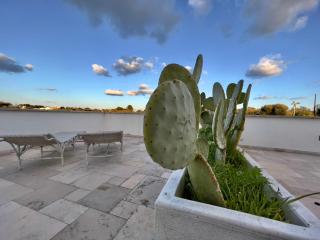 Tenuta Ermes - Ostuni - 2