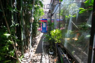 Majikal B&B - Frida - Cholula - 9