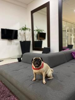 Hotel San Silvestre - 5