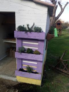 Molino del prato - 5