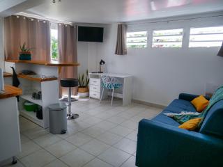 Studio proche de la Soufrière - Saint-Claude - 9