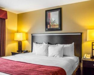 Comfort Suites Denver Tech Center - Centennial - 1