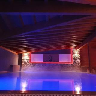 Monte Cervo Bio Hotel & Spa - Covasna - 9