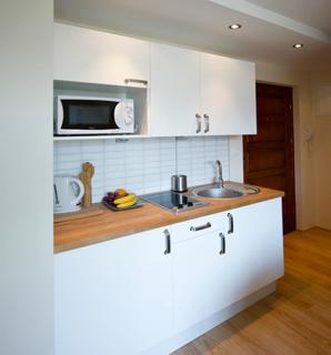 Apartament Sarnia Skała Kościelisko - 5