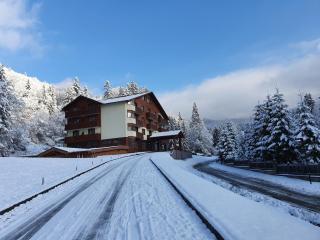 Monte Cervo Bio Hotel & Spa - Covasna - 3