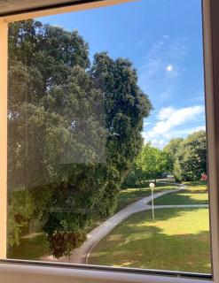 Studio Spacieux dans Parc Arboré - 7