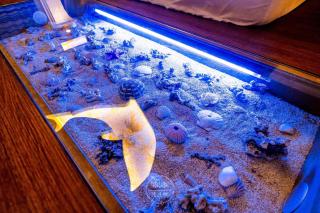 星湖森活 Star Lake Life in Nature - Dongshan - 7