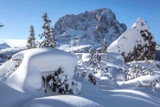 Residence Villa al Sole - 8