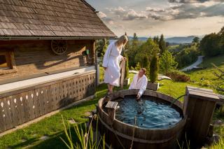 Landhotel Spreitzhofer - Sankt Kathrein am Offenegg - 9