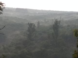 Forest Inn - Mahabaleshwar - 1