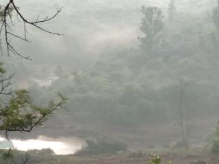 Forest Inn - Mahabaleshwar - 3