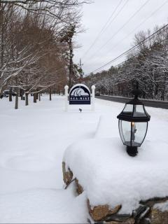 Sea Mist Resort - Mashpee - 5
