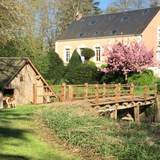Domaine du moulin de la plaine - L'île Ô Reflets - Trôo - 0