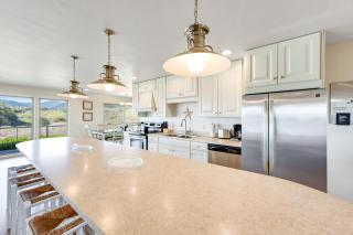 Shell Seeker - Inglenook - 5