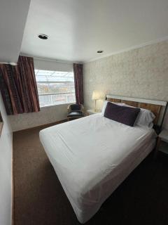 Pink Champagne Motel - Wildwood - 1