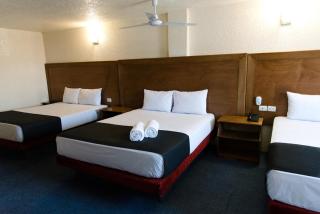 Hotel Central Irapuato - Hotel en Irapuato - 1