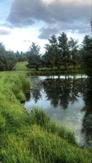 Sheilas Cottage Sleeps 2 - 9