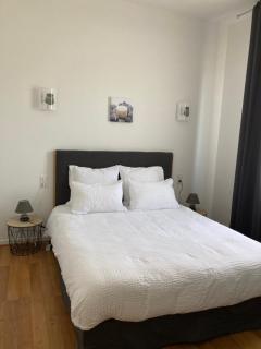 Appart Aux deux Colombes avec Balcon et Garage - Pamiers - 8
