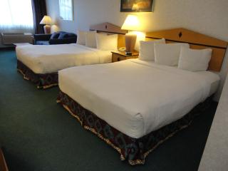Quality Inn & Suites Denver Airport - Gateway Park - Aurora - 3