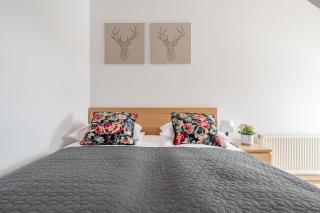 Lux apartamenty Stara Polana - 7