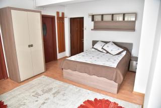Apartament Frunzei - Sibiu - 1