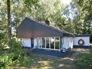 Holiday home in Haaksbergen with garden - Haaksbergen - 9