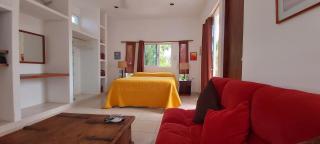 MINI PINI BIRD WATCHING AND CENOTE Loft - Cozumel - 2