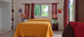 MINI PINI BIRD WATCHING AND CENOTE Loft - Cozumel - 3