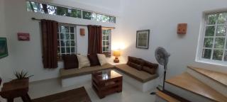 MINI PINI BIRD WATCHING AND CENOTE Loft - Cozumel - 7