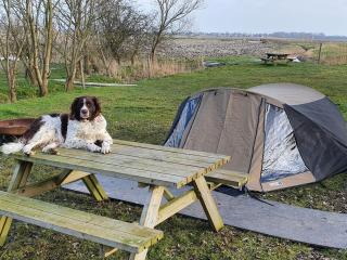 Basic 2p tent Sotterum - Cornwerd - 0