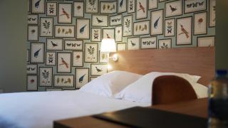 Logis Saint Louis - La Suze-sur-Sarthe - 3