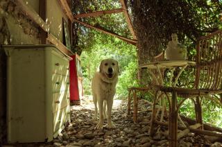 Centro Studi Nuovarmonia - 9