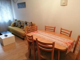 Apartment Lili - Blagoevgrad - 7