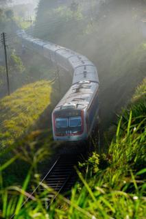 Olympus Plaza Hotel - 2