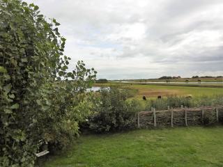 De Jutter, in natuurgebied en vlakbij het Strand - Callantsoog - 1