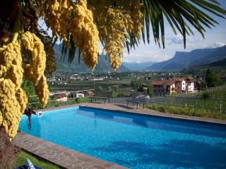Residence Winklgut - Lagundo - 9