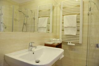 Hotel Vis a Vis Łańcut - Łańcut - 4