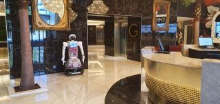 Hotel Sky Sandton - 2