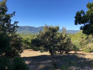 La Bergerie des Oliviers - 1